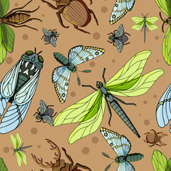 beautiful insects pattern, stag-beetle, cicada, green dragonfly, night-fly, vector illustration isolated on color background
