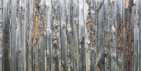 Panorama of an old rough wooden fence. Texture of vertical boards with the bark of a tree. Wooden background