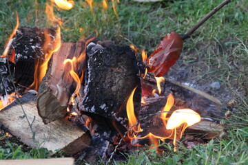 fire sausages firewood relax grill carbon