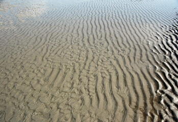 Beach after the Flood