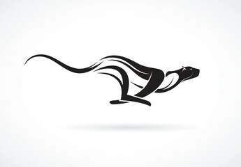 Vector of cheetah design on white background. Wild Animals. © yod67