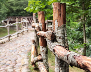 Wooden hedge of an old cobblestone road in a city park. Close-up.