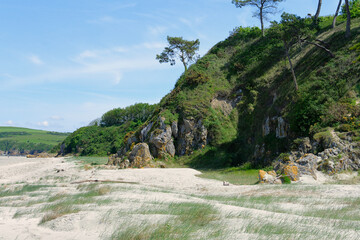 reserve naturelle de la baie de saint brieuc a Hillion