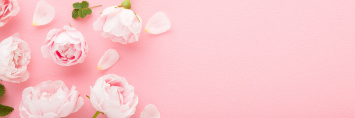 Fresh roses with petals on light pink table background. Pastel color. Beautiful flower wide banner. Closeup. Empty place for inspirational text, lovely quote or positive sayings.