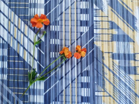 Orange Garden Flowers On Blue Textile Cover