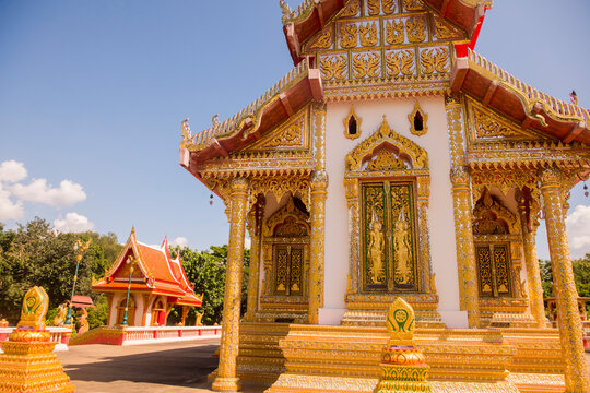 Dok Bilder Durchsuchen 6,472 Archivfotos, und Videos