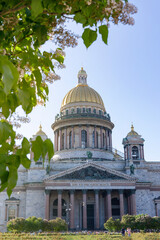  St. Isaac's Cathedral in St. Petersburg, lilac Bush in summer