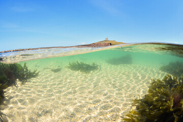 erquy  (cote armor ) - plage saint michel avec son ilot