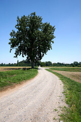 Fototapeta premium ciclabile