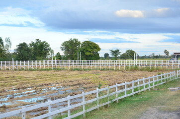 Fototapeta na wymiar rural landscape with fence