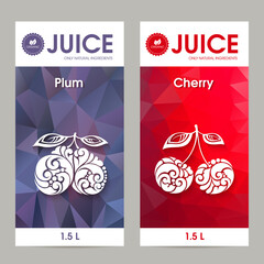 Vector set of templates packaging fruit juice