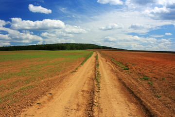 Dirt road in a field under a blue sky