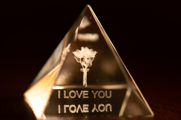 Flower in glass pyramid