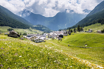 Fototapeta na wymiar Simplon Dorf im Kanton Wallis. Blumenwiese im Frühling, Schweiz