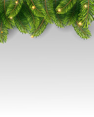 Christmas Tree Borders, Isolated On White Background, Vector Illustration.