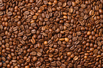 Background from a variety of roasted arabica coffee beans, top view.