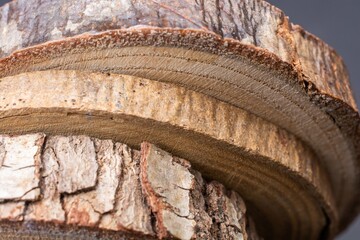 Closeup shot of cut pieces of wood one on another