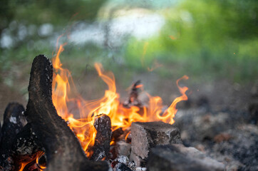 bonfire in the summer forest, photo of camping