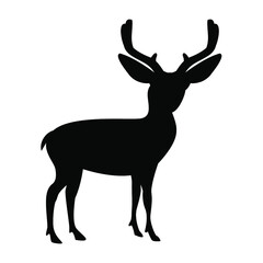 silhouette of deer