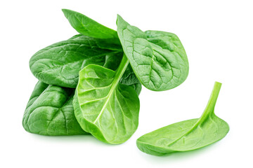 Spinach leaves isolated  on white background. Fresh spinach Close up