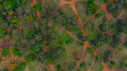 Bosque y laberinto en el bosque desde el cielo.