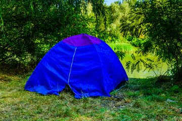 Blue tent in a forest on summer