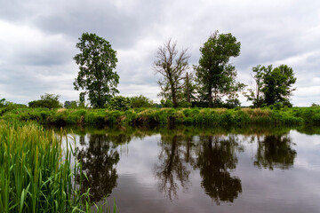 Fototapeta na wymiar Pochmurny dzień nad rzeką Narew, Podlasie, Polska