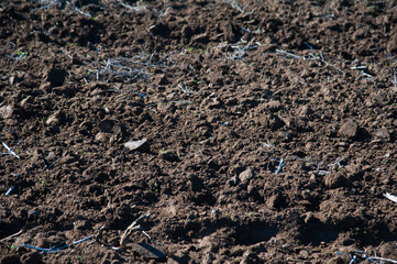 Plowed in winter field (arable land) agricultural land