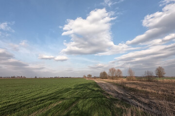 Dirt road in a spring field. Landscape.