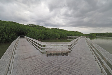 West Lake boardwalk in Everglades National Park, Florida under striking early morning cloudscape.