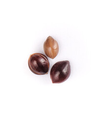 studio shot of black millet on a white background. For pet food packages\boxes or healthy food blogs, books or websites