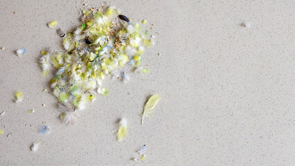 A pile of scattered tiny budgie feathers, mainly yellow in color, collected into a pile. With some empty bird seed hulls here and there. Copy space at the right. © CloudyTheater