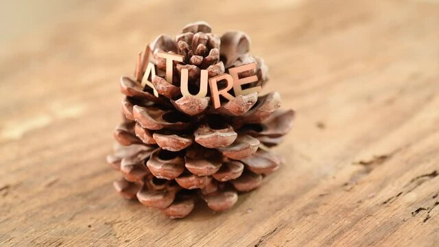 Nature sign on pine cone. Wooden background.