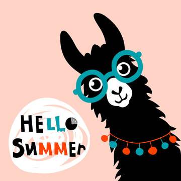 Llama Alpaca. Hello Summer card. Vector illustration