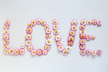 the word love is laid out with spring flowers daisies on a white background top view, flower arrangement