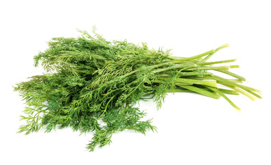 Close up view of bunch of fresh green dill