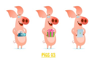 Cute pig with a camera tablet and a gift in his hands. Cartoon style illustration.