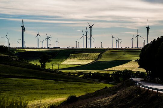 El campo con tonalidades verdes