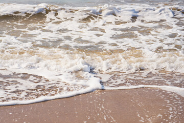 Sandy beach on a sunset with reflection on wet sand and waves with foam. Copy space.