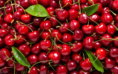 fresh cherries as background, top view