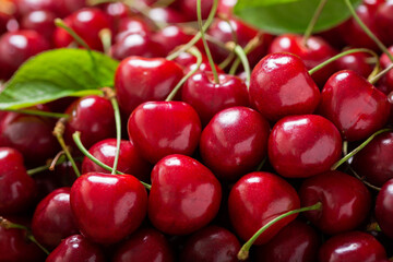 fresh cherries as background