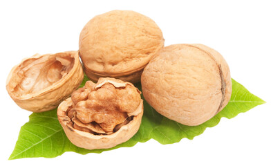 whole and cracked walnuts with kernel and green leaves on white background