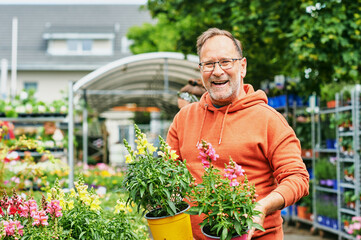Middle age man gardener buying plants in garden center, holding pots with yellow and pink garden...