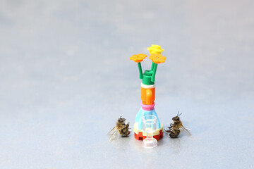 bees watch a flower from a constructor and with an empty glass on a summer day in nature.