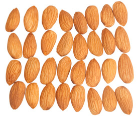 almonds in a line isolated on the white background