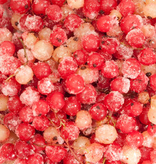 red and white frozen currants with pieces of ice
