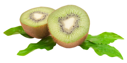 Fototapeta premium halfs of kiwi isolated on white background