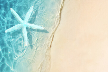 Fototapeta na wymiar Summer sand beach background. Starfish and sea. Summer concept.
