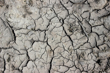  Cracked black earth in hot weather in summer