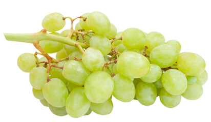 green grape isolated on white background